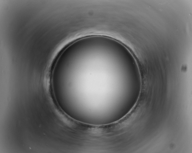 X0000102781511200808251103