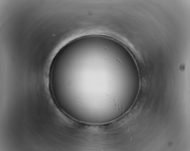 X0000102781512200808251103