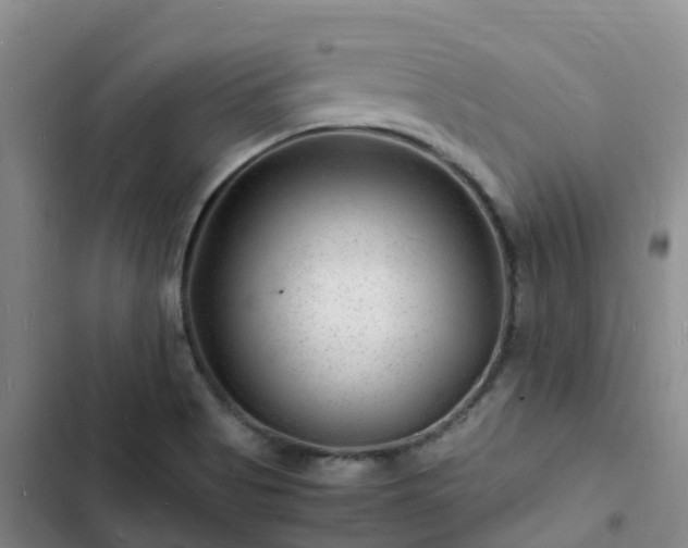 X0000102781513200808251103