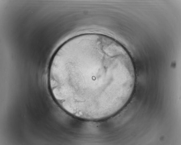 X0000102781514200808251103