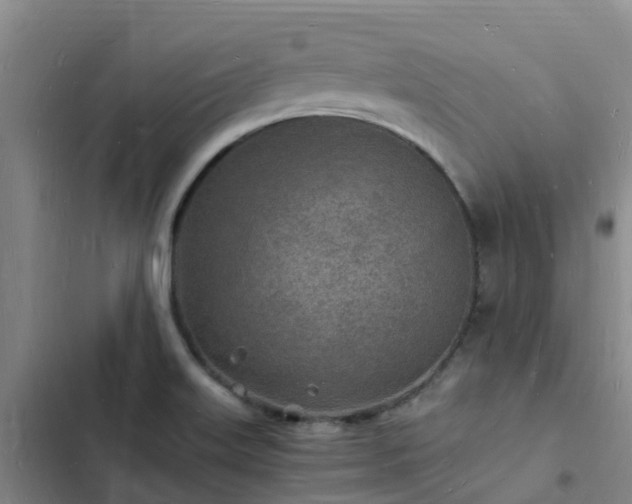 X0000102781515200808251103