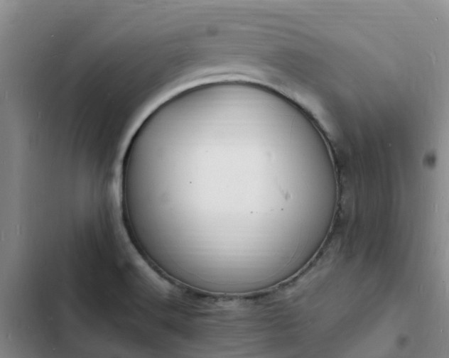 X0000102781516200808251103