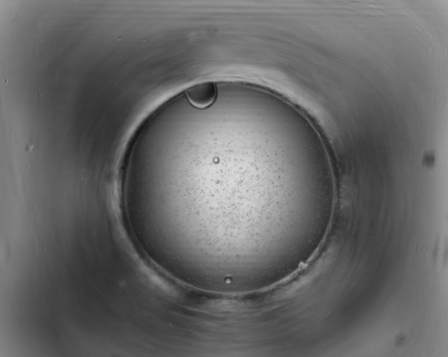 X0000102781517200808251103