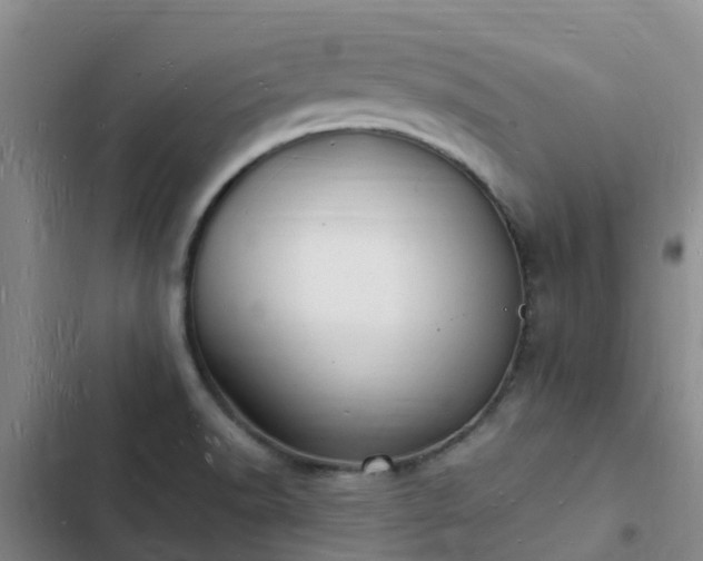 X0000102781518200808251103