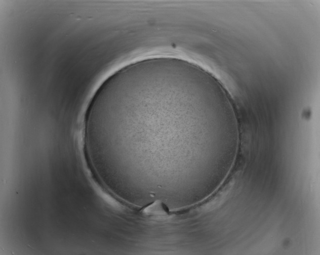 X0000102781519200808251103