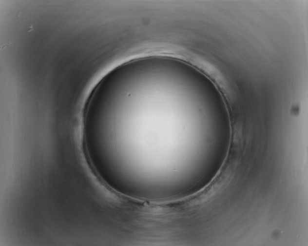 X0000102781520200808251103