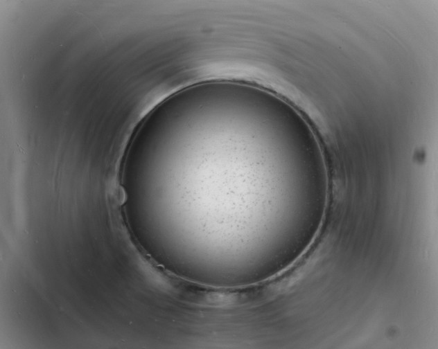 X0000102781521200808251103