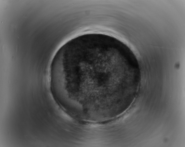 X0000102781522200808251103