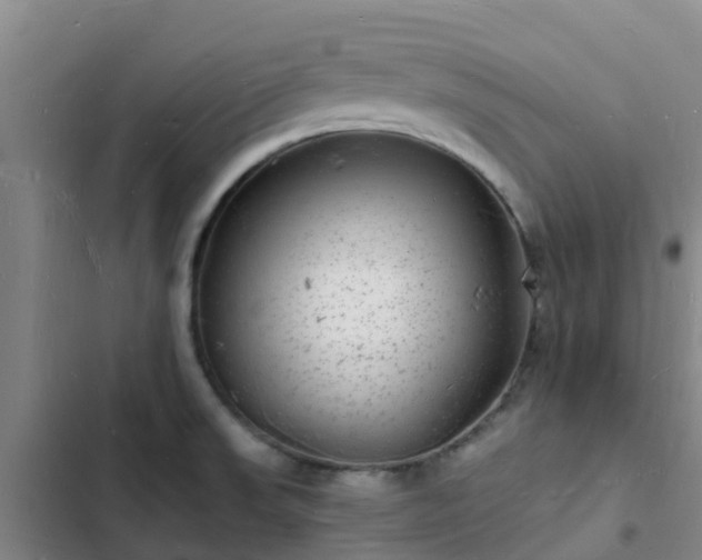 X0000102781523200808251103