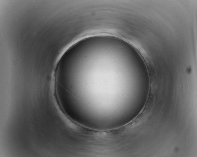 X0000102781524200808251103