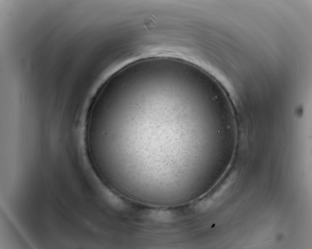 X0000102781525200808251104