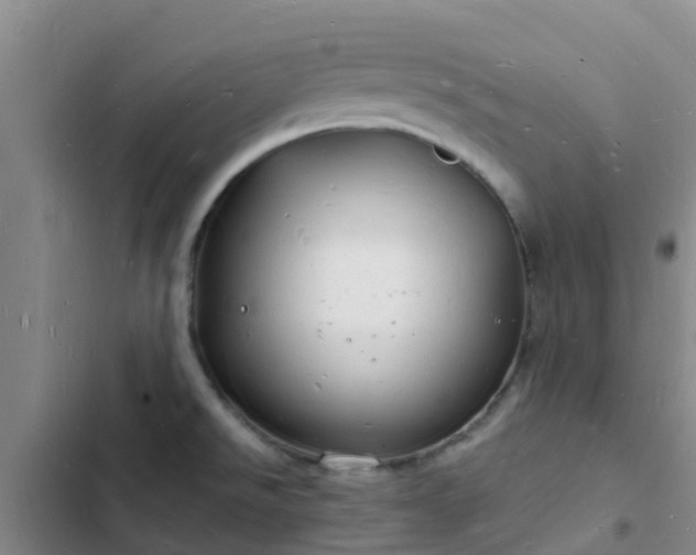 X0000102781526200808251104