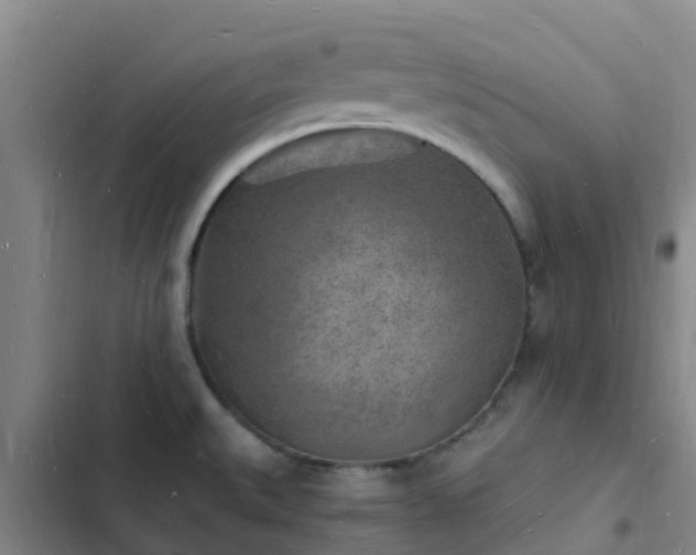 X0000102781527200808251104