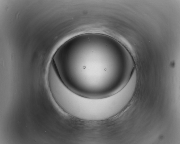 X0000102781528200808251104