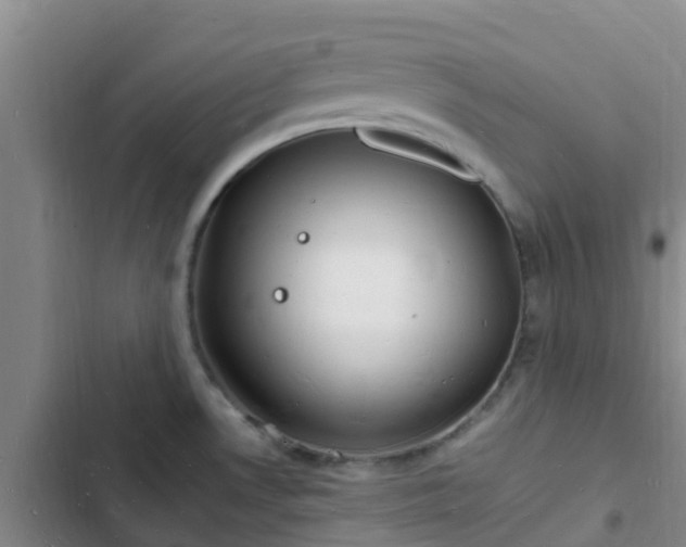 X0000102781530200808251104