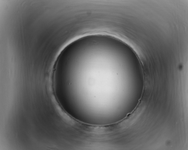 X0000102781534200808251104