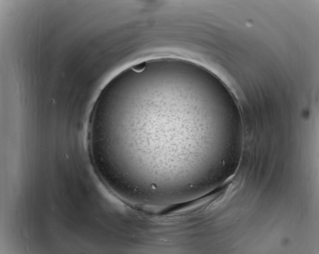 X0000102781535200808251104