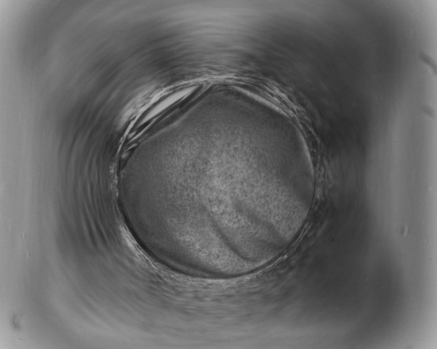 X0000102780002200809021102