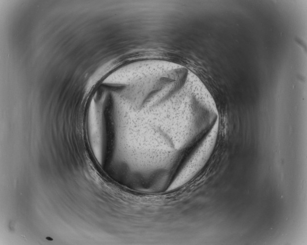 X0000102780004200809021102