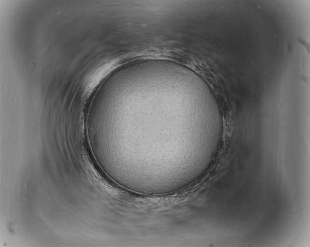 X0000102780005200809021102