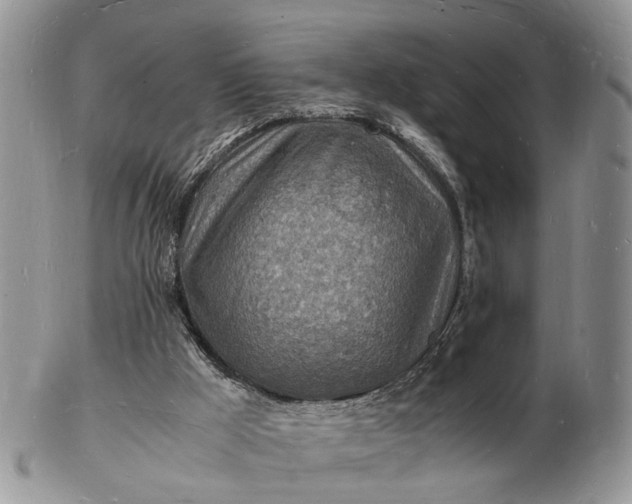 X0000102780009200809021102