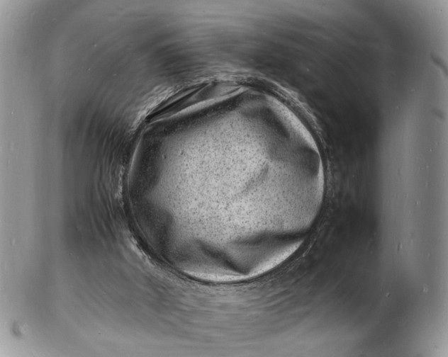 X0000102780010200809021102