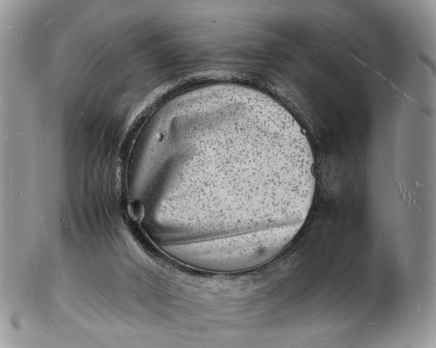 X0000102780016200809021102