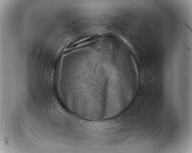 X0000102780018200809021102