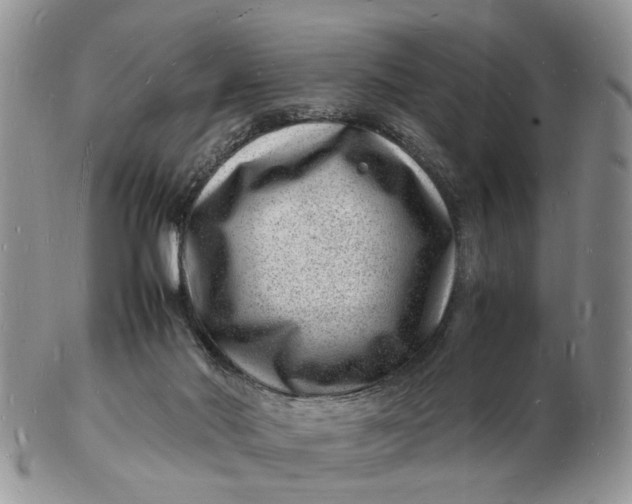 X0000102780022200809021102