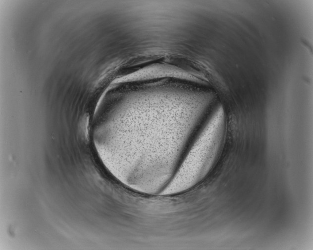 X0000102780024200809021102