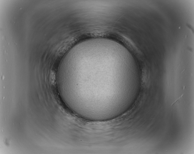 X0000102780025200809021102