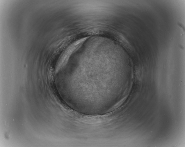 X0000102780029200809021102