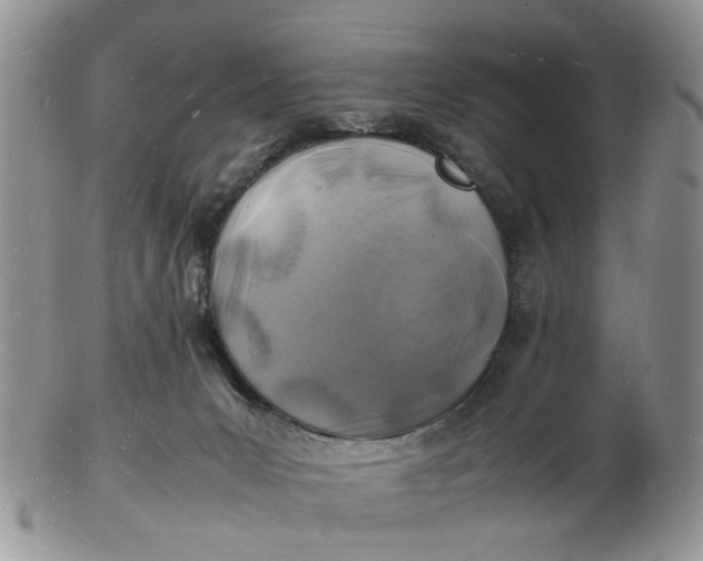 X0000102780031200809021102