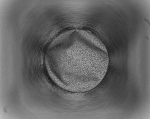 X0000102780032200809021102