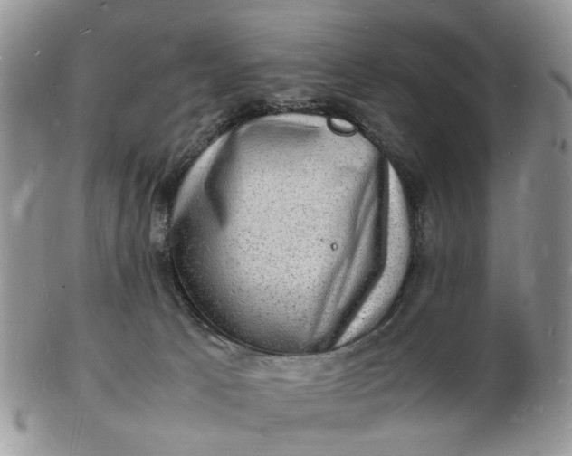 X0000102780033200809021102