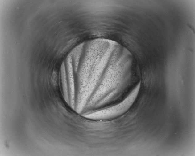 X0000102780036200809021102