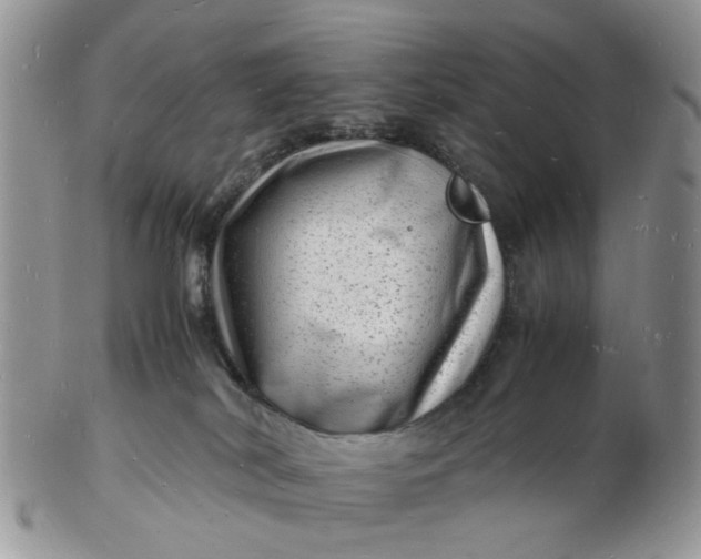 X0000102780038200809021102