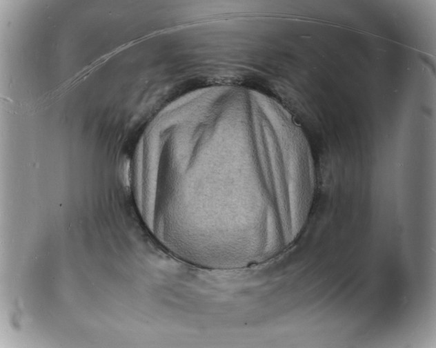 X0000102780041200809021102