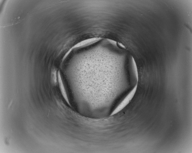 X0000102780042200809021102