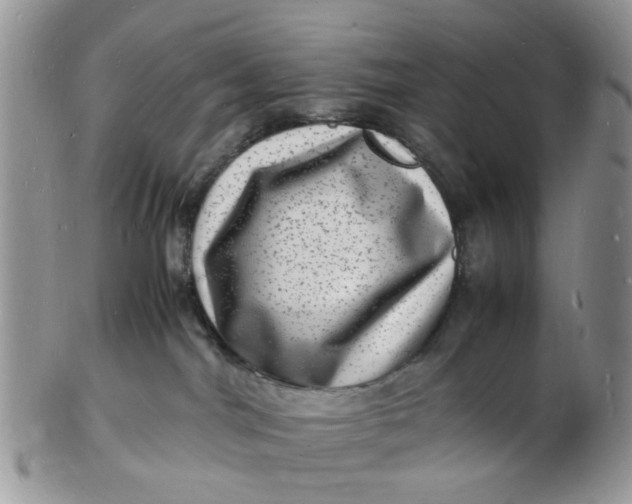 X0000102780044200809021102