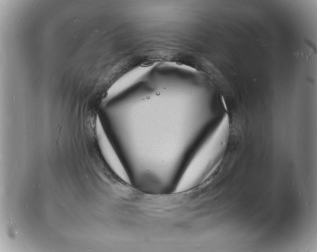 X0000102780045200809021102