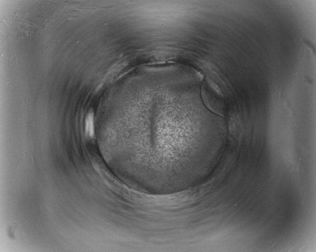 X0000102780046200809021102