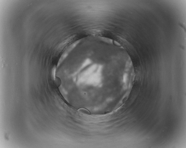 X0000102780047200809021102