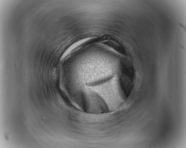 X0000102780048200809021102