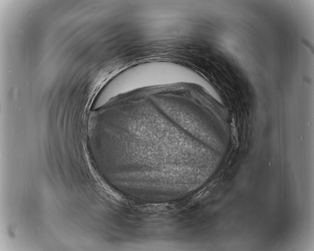 X0000102780049200809021101