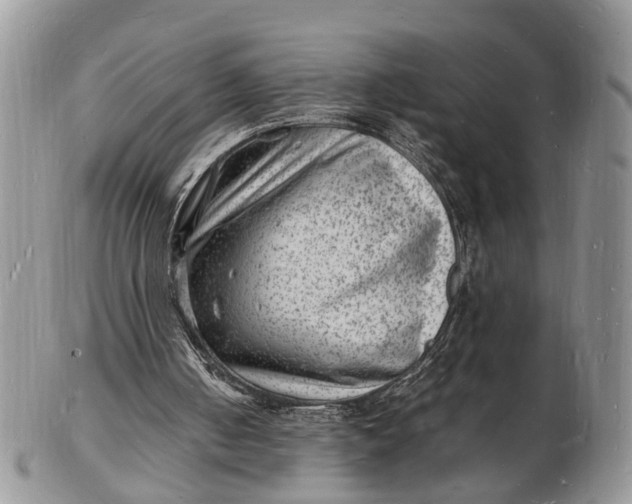 X0000102780050200809021101