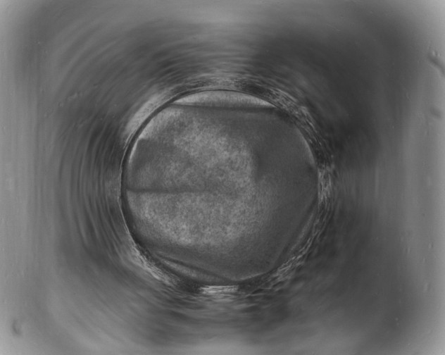 X0000102780051200809021101