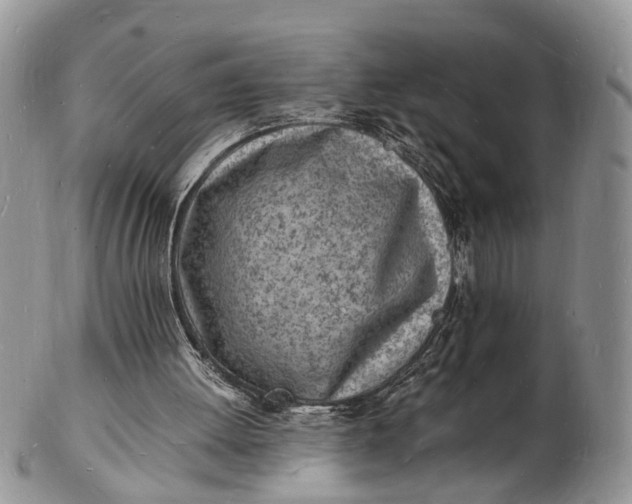 X0000102780052200809021101