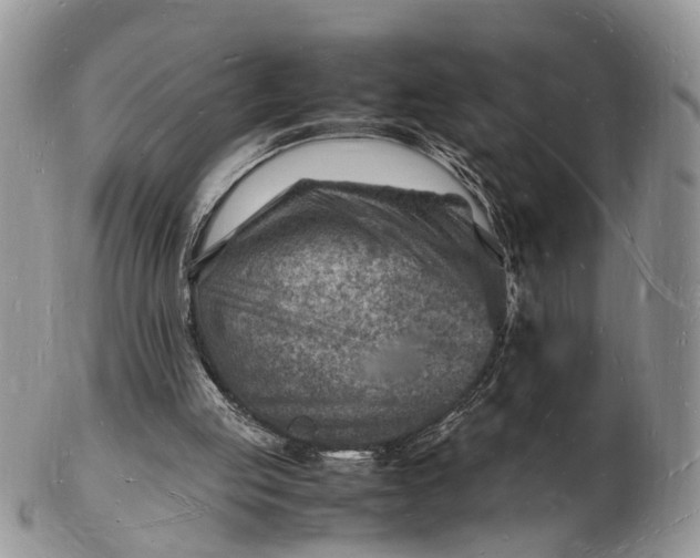 X0000102780053200809021101