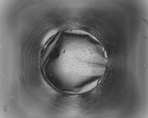 X0000102780054200809021101